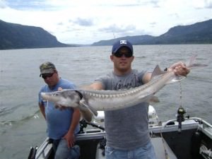 Sturgeon