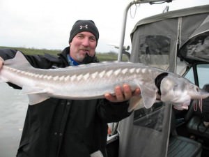 Sturgeon fishing guide in portland Oregon