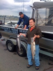 2 chinook salmon