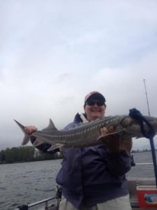 Sturgeon on the Columbia River