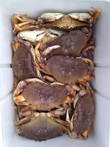Pots Full of Crab