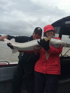 A client holding a sturgeon They caught with Marvin's guide service fishing Portland Oregon.