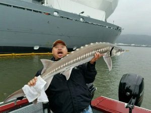 Happy angler holds up a sturgeon on the Willamette River with a Navy ship in the background.