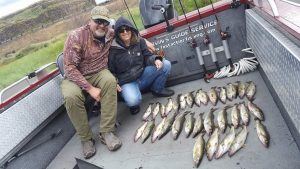 Man and woman with lots of walleye they caught fishing on the Columbia River with Marvin's Guide Service.