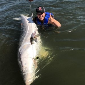 Columbia River Monster Sturgeon