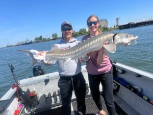 Willamette River Sturgeon caught in Portland OR?