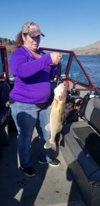 Columbia River Walleye