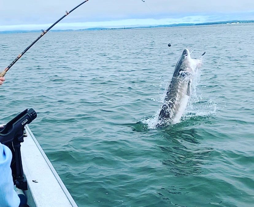 Astoria Oregon Sturgeon Fishing Guide