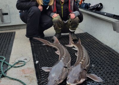 Two people showing off their caught sturgeon, which are lying on the dock.